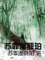 武碎星河百度百科