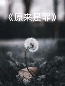 我的父亲母亲百度百科