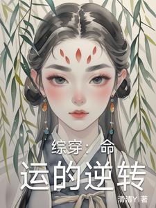 盛妆山河讲的什么