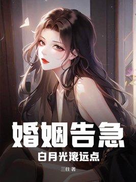 我的绝色未婚妻总裁总结