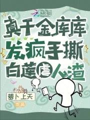 一姐还是小学鸡免费阅读