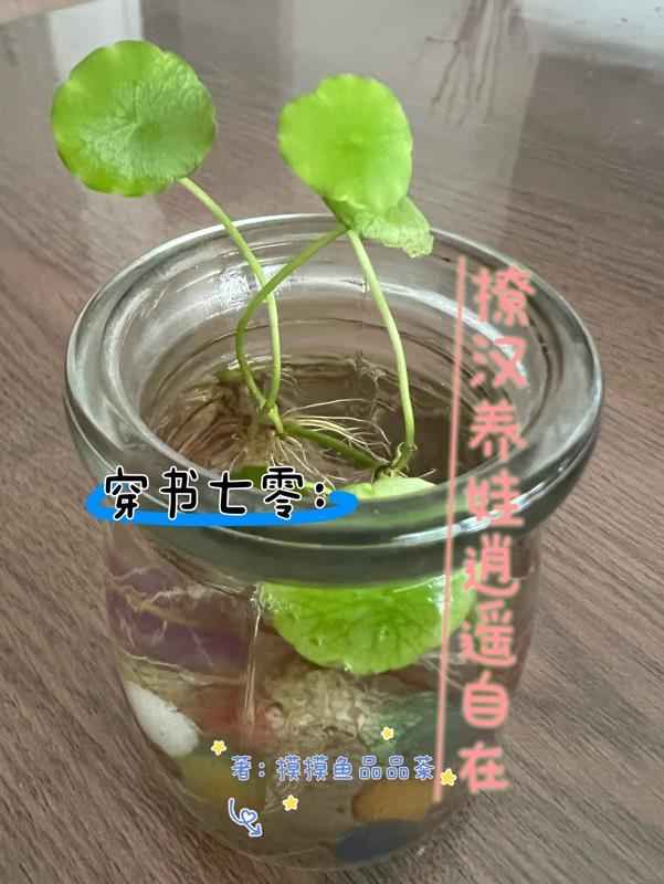 病娇王爷毒医妃