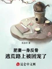 大明家妻上将军