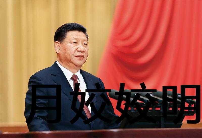 催泪系导演起点中文网