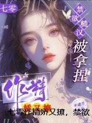 宠妾灭妻?这王妃我不当了漫画全集